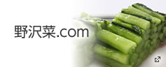 野沢菜.com